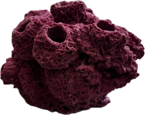 7 Hole Barnacle Cave Frag Rock Rockbed Base for Live Coral Frag Slows for Reef Aquariums (Coralline Purple) in Kuwait