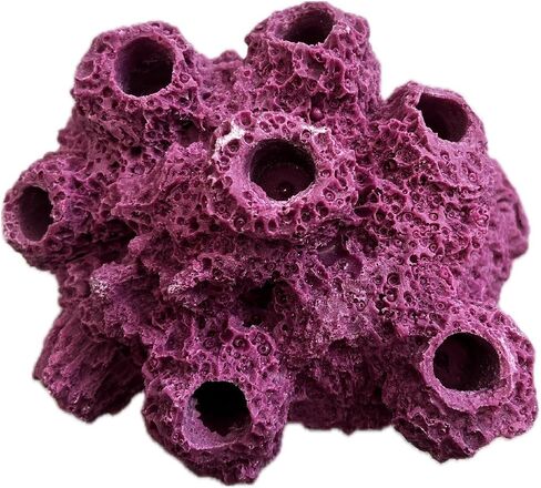 7 Hole Barnacle Cave Frag Rock Rockbed Base for Live Coral Frag Slows for Reef Aquariums (Coralline Purple) in Kuwait