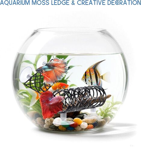 Betta Tunnel & Hammock Set - Black Betta Fish Toys, Safe Bettas Fish Tank Accessories, Bettas Hideout for Small Fishs & Shrimp in Saudi Arabia