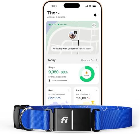 FI Series 3+ ذكية من طوق تعقب الكلاب الذكي - تضمنت عضوية 6 أشهر in Kuwait