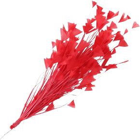 Burgundy Turkey Feathers,Crafts Home Decor Feathers Bouquet,2pcs Bulk Long 10-12inch of Handicrafts Decoration Flowers Accessories for Home Table Wedding Decor Rustic Farmhouse Party Decor(Burgundy) in Kuwait