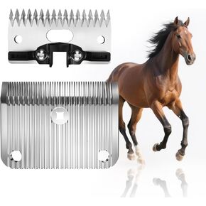 A2/AC متوسطة الشفرة متوافقة مع نجم Lister ، والأسطورة ، والحرية ، والانصهار كليبرز الحيوانات ، مصنوعة من الفولاذ المقاوم للصدأ ، طول مقطوع 3/32 في (2.5 مم) (شفرة متوسطة 2Pack) in Kuwait