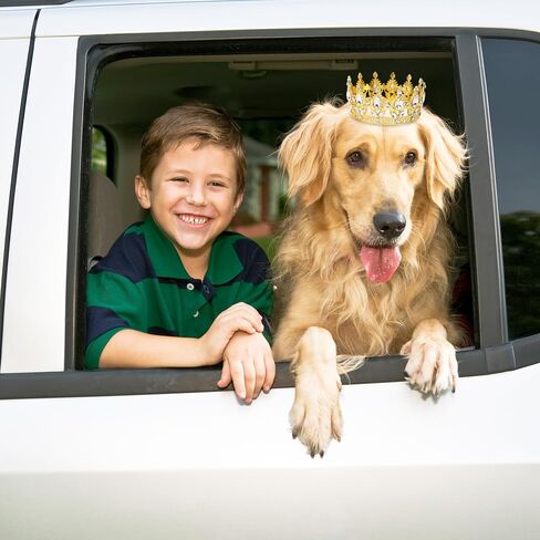 2Pcs Dog Crown for Medium Dogs, Silver Gold Rhinestone Dog Birthday Tiara with Adjustable Strap, Crown for Dogs Cat Pet Birthday Wedding Party Photo Prop Costume in Saudi Arabia