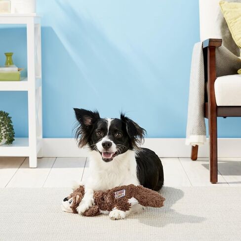 لعبة Kong Scrunch 2 Pack Dog Toy-أفخم خالية من الحشو مع حبال داخلية معقدة و Squeaker-Tug & Chew Toy (Squirrel/Raccoon Combo ، متوسطة/كبيرة) in Saudi Arabia