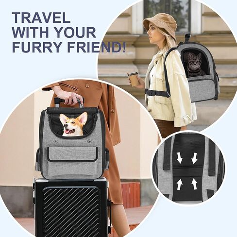 Cat Carrier Backpack for Large Cats Pet Backpack Carrier for Small Dogs, Expandable Cat Backpack Up to 15 Lbs, Foldable Cat Carrying Backpack for Travel Hiking (Black) in Kuwait