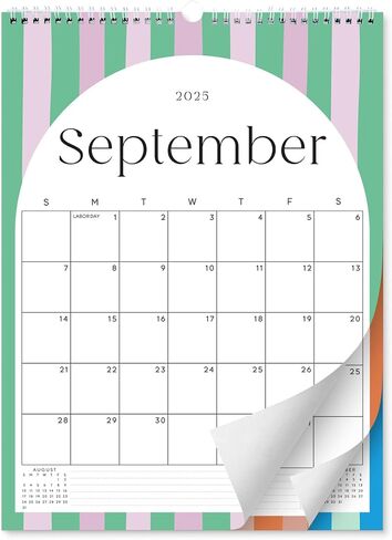 S & O Palm Beach Arc Wall Calendar من يوليو 2025 -Dec 2026 - تقويم شهري للدموع - 18 شهرًا مخطط الجدار الأكاديمي - منظم معلق لتتبع الذكرى السنوية والمواعيد - 14.2 "× 10.5" في in Saudi Arabia