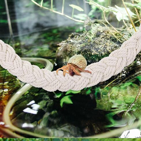 2PCS Hermit Crab Climbing Toys Hermit Crab Accessories Climbing Rope with 4 Hooks Hermit Crabs Habitat Decor for Leopard Gecko Lizards Geckos Snakes Tree Frog in Saudi Arabia