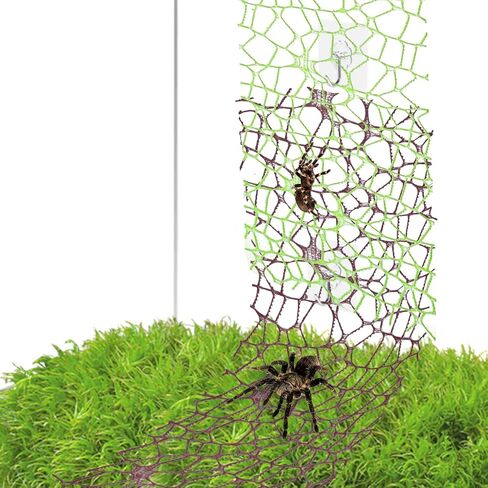 6 أجزاء من إكسسوارات موائل العنكبوت ، قفز الشريط Moss Moss القفز مع 6 أجزاء من العناكب حاوية الموائل لسبودات Spoods Clings Climbing (3pcs Green + 3pcs Brown) in Saudi Arabia