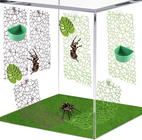 6 أجزاء من إكسسوارات موائل العنكبوت ، قفز الشريط Moss Moss القفز مع 6 أجزاء من العناكب حاوية الموائل لسبودات Spoods Clings Climbing (3pcs Green + 3pcs Brown) in Saudi Arabia