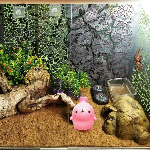 6 أجزاء من إكسسوارات موائل العنكبوت ، قفز الشريط Moss Moss القفز مع 6 أجزاء من العناكب حاوية الموائل لسبودات Spoods Clings Climbing (3pcs Green + 3pcs Brown) in Saudi Arabia