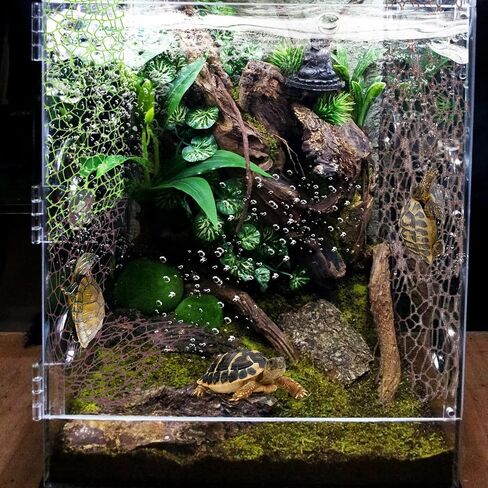 6 أجزاء من إكسسوارات موائل العنكبوت ، قفز الشريط Moss Moss القفز مع 6 أجزاء من العناكب حاوية الموائل لسبودات Spoods Clings Climbing (3pcs Green + 3pcs Brown) in Saudi Arabia