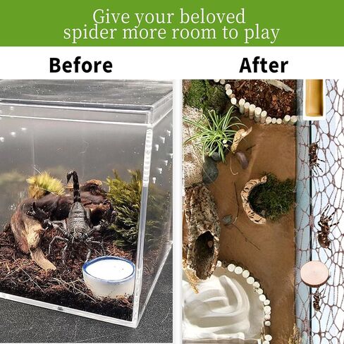 6 أجزاء من إكسسوارات موائل العنكبوت ، قفز الشريط Moss Moss القفز مع 6 أجزاء من العناكب حاوية الموائل لسبودات Spoods Clings Climbing (3pcs Green + 3pcs Brown) in Saudi Arabia