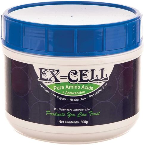 Ex-Cell Pure Amino Acids Powder 600g in Saudi Arabia