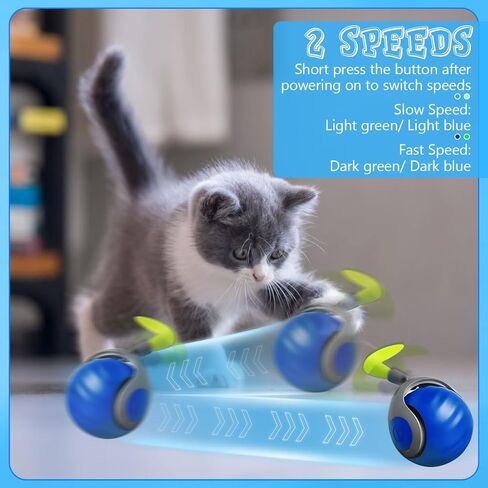 Tail 2.0 Cat Toy ، لعبة كرة قطة تفاعلية ذكية ، كرة متداول تلقائية مع ذيل الريش ، ألعاب للقطط الداخلية ، كرات ذاتية الحركة للقطط والكلاب (الأزرق) in Kuwait