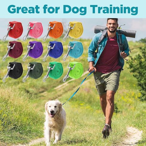12-Pack Nylon Dog Training Leash Set, 5 ft Leashes in 12 Colors for Puppy Training, Play, Camping, and Backyard Use (Colorful) in Kuwait