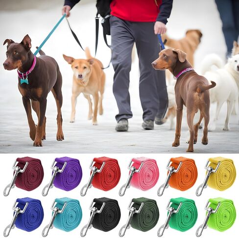 12-Pack Nylon Dog Training Leash Set, 5 ft Leashes in 12 Colors for Puppy Training, Play, Camping, and Backyard Use (Colorful) in Kuwait