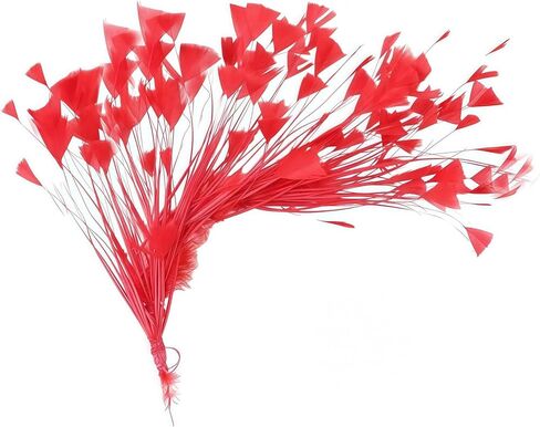 Burgundy Turkey Feathers,Crafts Home Decor Feathers Bouquet,2pcs Bulk Long 10-12inch of Handicrafts Decoration Flowers Accessories for Home Table Wedding Decor Rustic Farmhouse Party Decor(Burgundy) in Kuwait