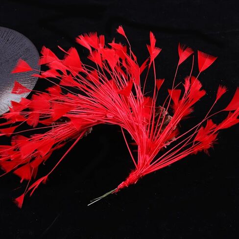 Burgundy Turkey Feathers,Crafts Home Decor Feathers Bouquet,2pcs Bulk Long 10-12inch of Handicrafts Decoration Flowers Accessories for Home Table Wedding Decor Rustic Farmhouse Party Decor(Burgundy) in Kuwait