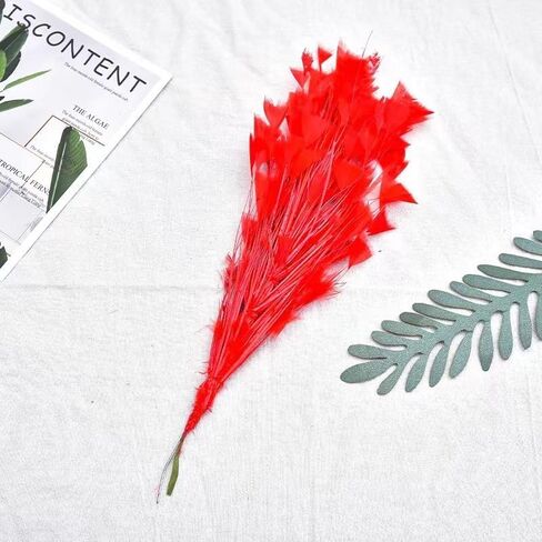 Burgundy Turkey Feathers,Crafts Home Decor Feathers Bouquet,2pcs Bulk Long 10-12inch of Handicrafts Decoration Flowers Accessories for Home Table Wedding Decor Rustic Farmhouse Party Decor(Burgundy) in Kuwait