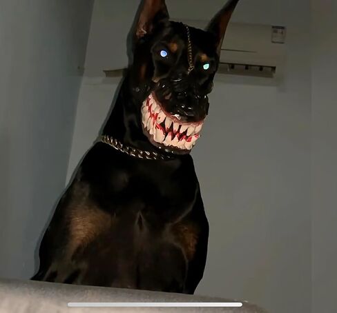 Scary Dog Muzzle for Halloween - Latex Animal Costume Mask with Lifelike Teeth; Hilarious Pet Muzzle Accessory; Adjustable Breathable Face Cover in Saudi Arabia