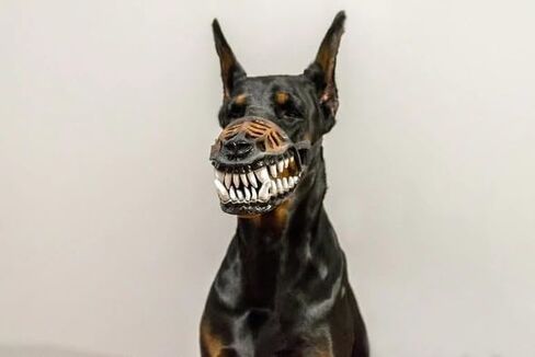 Scary Dog Muzzle for Halloween - Latex Animal Costume Mask with Lifelike Teeth; Hilarious Pet Muzzle Accessory; Adjustable Breathable Face Cover in Saudi Arabia