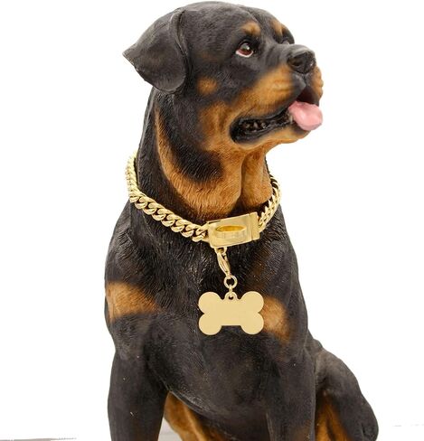 طوق سلسلة الكلاب الذهبية الفولاذ المقاوم للصدأ القوي مع قلادة سهلة قفل وإفراج ، طوق الكلب الكوبي المطلي بالذهب 18 كيلو بايت - 14 '' ' in Kuwait