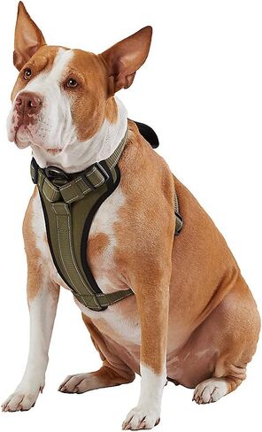 Kong Max Ultra Neoprene مبطنة صدر مبطنة من الكلاب التي تقدمها شركة Barker (Green ، Small) in Kuwait