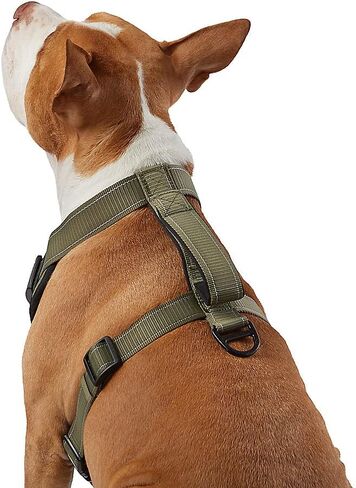 Kong Max Ultra Neoprene مبطنة صدر مبطنة من الكلاب التي تقدمها شركة Barker (Green ، Small) in Kuwait