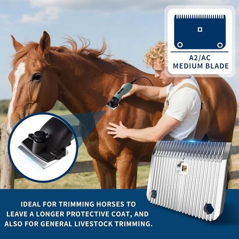 A2/AC متوسطة الشفرة متوافقة مع نجم Lister ، والأسطورة ، والحرية ، والانصهار كليبرز الحيوانات ، مصنوعة من الفولاذ المقاوم للصدأ ، طول مقطوع 3/32 في (2.5 مم) (شفرة متوسطة 2Pack) in Kuwait