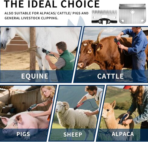 A2/AC متوسطة الشفرة متوافقة مع نجم Lister ، والأسطورة ، والحرية ، والانصهار كليبرز الحيوانات ، مصنوعة من الفولاذ المقاوم للصدأ ، طول مقطوع 3/32 في (2.5 مم) (شفرة متوسطة 2Pack) in Kuwait