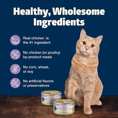 Blue Buffalo Freedom Grain-Free Adult Wet Cat Food, Complete & Balanced Nutrition for Indoor Cats, Made with Natural Ingredients, Chicken Recipe, 5.5-oz. Cans (24 Count) in Saudi Arabia