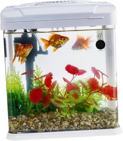 BESPORTBLE Indoor Water Temp Digital Temperature Gauge for Fish Tank Reptile Aquarium Read Display in Saudi Arabia