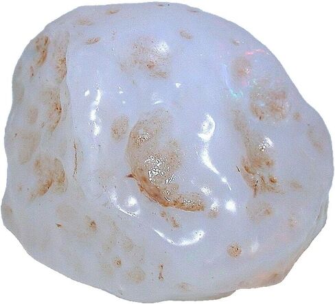 13.3 Grams 66 Carats Large Mexican Fire Precious Opal Gemstone Rough CS54/4225 in Saudi Arabia