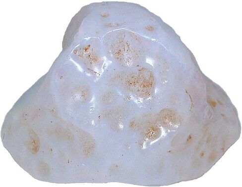 13.3 Grams 66 Carats Large Mexican Fire Precious Opal Gemstone Rough CS54/4225 in Saudi Arabia