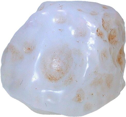13.3 Grams 66 Carats Large Mexican Fire Precious Opal Gemstone Rough CS54/4225 in Saudi Arabia