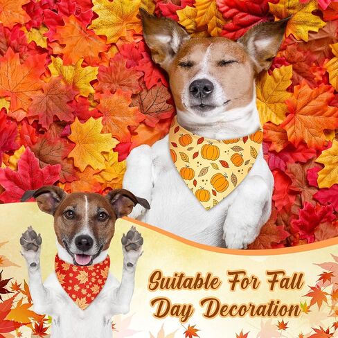 500 Pcs Fall Bandanas for Dogs Autumn Dog Bandanas with Maple Leaves Pumpkin Patterns Soft Bibs Adjustable Triangle Doggie Scarf for Small Medium Large Pet Costume 25.6 x 17.7 x 17.7 Inch in Kuwait