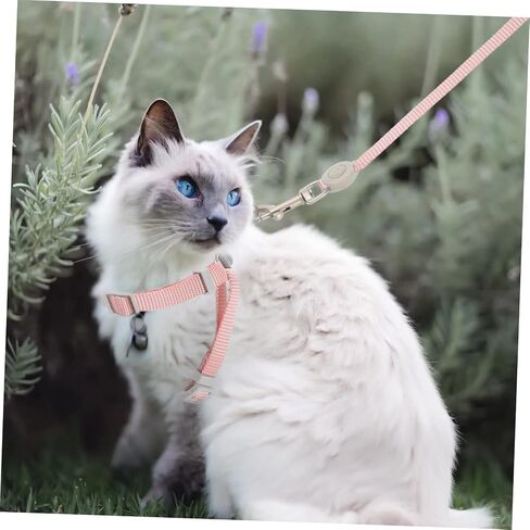 Adjustable Cat Harness Set Kitten Leash Harness Small Cat Vest Fashionable Double Comfortable for Outdoor Activities in Saudi Arabia