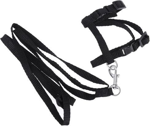 UPKOCH Nylon Cat Harness Traction Rope Adjustable Leash for Safe Outdoor Adventures in Saudi Arabia