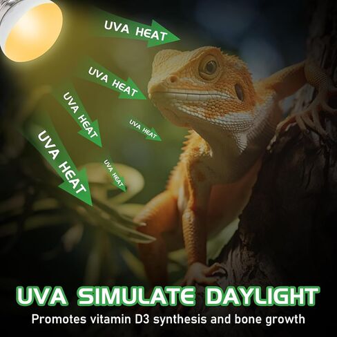 Reptile Heat Lamp Bulbs, UVA Reptile Heat Bulb 2 Pack, 40 Watt Heat Light Bulbs, Daylight Basking Spot Light for Lizard, Bearded Dragon, Snake, Gecko in Kuwait