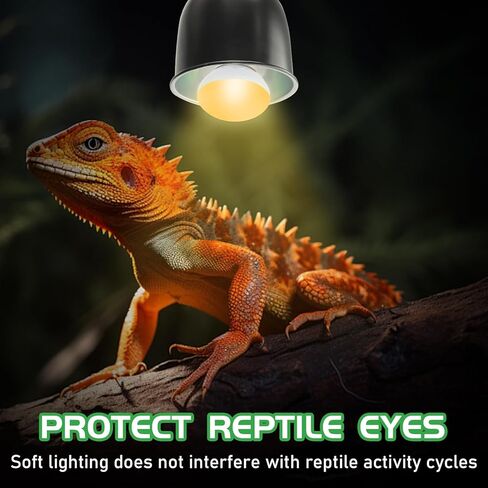 Reptile Heat Lamp Bulbs, UVA Reptile Heat Bulb 2 Pack, 40 Watt Heat Light Bulbs, Daylight Basking Spot Light for Lizard, Bearded Dragon, Snake, Gecko in Kuwait