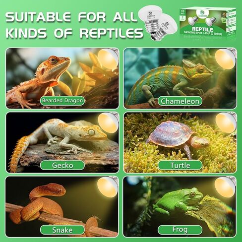 Reptile Heat Lamp Bulbs, UVA Reptile Heat Bulb 2 Pack, 40 Watt Heat Light Bulbs, Daylight Basking Spot Light for Lizard, Bearded Dragon, Snake, Gecko in Kuwait