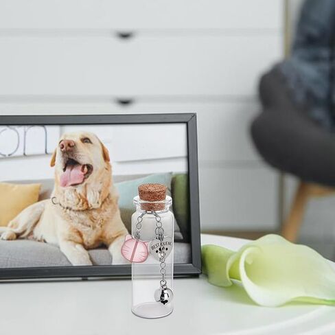 4pcs Pet Fur Memorial Jar 4 أنماط شفافة زجاجية فارغة زجاجة زجاجة زجاجة يوسك مع أجراس Cat Charm Heart Plaque Val in Kuwait