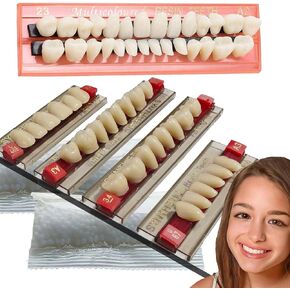 A3 of Maximum Standard Size Teeth Fake Teeth, Tooth KitDIY All Teeth 3 Sets.Dental Education,Dental Teeth Teaching Model(New 1 Box)