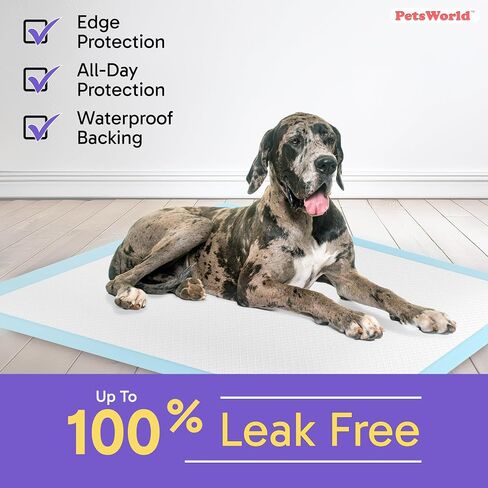 PETSWORLD Giant Dog Potty Pads, Odor-Eliminating, 36" x 36", Ultra Absorbent 5-Layer Leak-Proof Training Pads for Dogs & Cats (36x36, 150 Count) in Kuwait