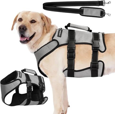 Ayquez Dog Lift Sharness مع حقيبة التخزين والنقل ، تسخير الكلب مع مقبض لرفع خلل التنسج والورك ، Arnés Parros Pequeños ، Pechera Para Perros (Gray ، L) in Kuwait