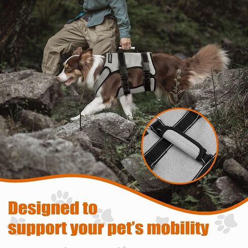 Ayquez Dog Lift Sharness مع حقيبة التخزين والنقل ، تسخير الكلب مع مقبض لرفع خلل التنسج والورك ، Arnés Parros Pequeños ، Pechera Para Perros (Gray ، L) in Kuwait