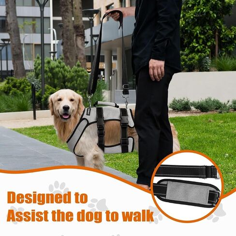 Ayquez Dog Lift Sharness مع حقيبة التخزين والنقل ، تسخير الكلب مع مقبض لرفع خلل التنسج والورك ، Arnés Parros Pequeños ، Pechera Para Perros (Gray ، L) in Kuwait