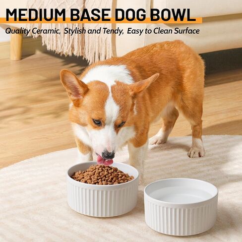 Non-Slip Ceramic Dog Bowls,6" Dog Food and Water Bowl Set with Silicone Base, 32oz/4cups Weighted Flip-Proof Pet Feeding Bowl for Medium Dogs (Medium,White) in Saudi Arabia