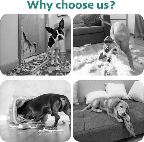 رذاذ التفاح المرير للكلاب - 200 مل من رذاذ رادع الكلب مع حمضيات وزيت الأوكالبتوس ، ومكافحة التدريب المضاد للمضغ لوقف المضغ وحماية الأثاث in Kuwait