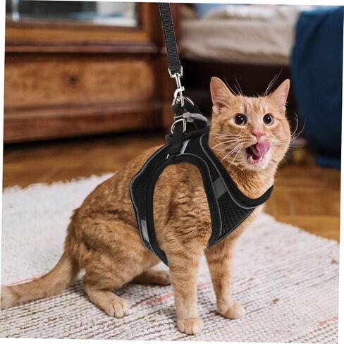 Toyvian 1set Cat and Leash Kit Breathable Chest Strap for Outdoor Walking Reflective Design Lightweight Traction for Kittens in Saudi Arabia